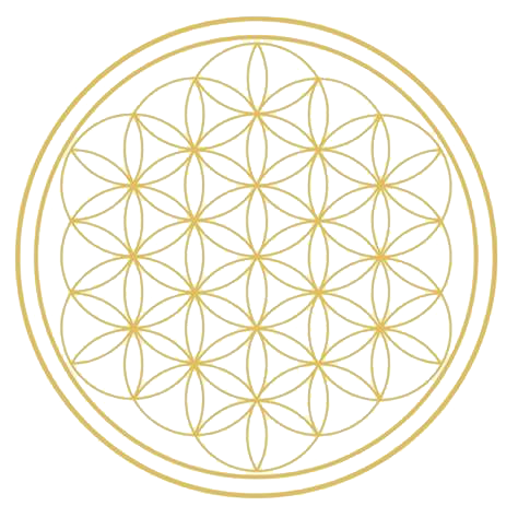 Fleurs de Vie & Compagnie